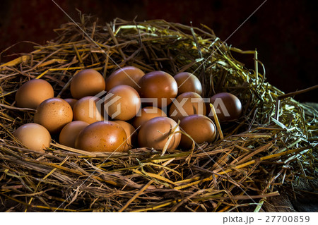 still life eggs in straw on wood background still life eggs in straw on wood background 27700859