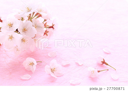 桜左・和紙P03 27700871