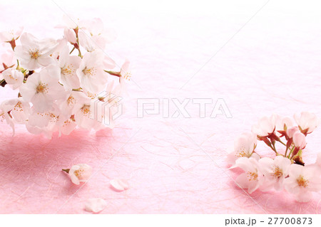 桜左・和紙P05 桜左・和紙P05 27700873