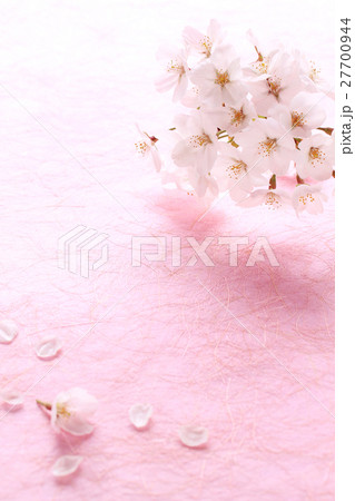 桜右・和紙Pタテ01 27700944