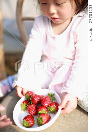 苺狩り 赤ちゃん 女性 イチゴ いちご 苺 フルーツ 果物 レジャー ビニールハウス デザート の写真素材