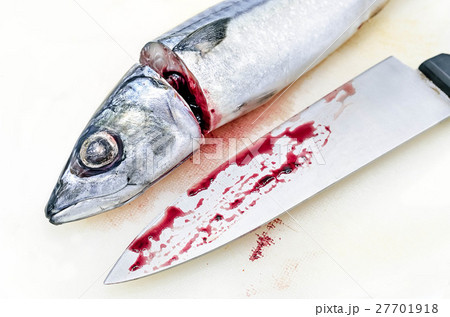 Fresh saba fish and chef's knife 27701918