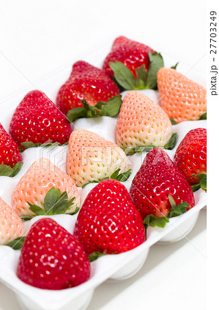 いちご 27703249