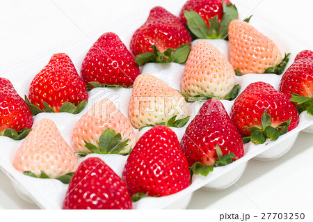 いちご 27703250