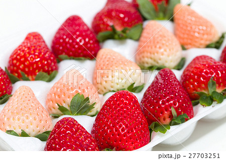 いちご いちご 27703251