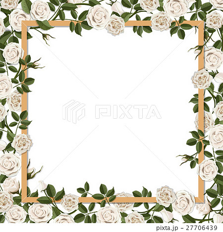 frame overgrown blossom rose flowers frame overgrown blossom rose flowers 27706439