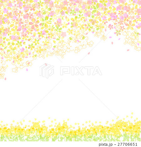 桜 菜の花 背景のイラスト素材