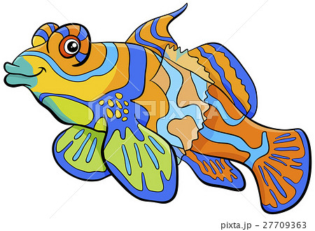 mandarin fish cartoon character 27709363
