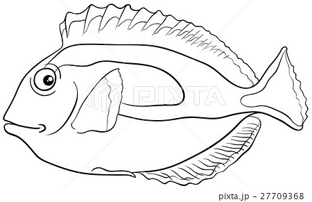 blue tang fish coloring page blue tang fish coloring page 27709368