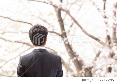 桜 ビジネスマン 桜 ビジネスマン 27712295