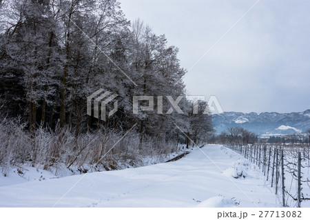 雪景 27713082