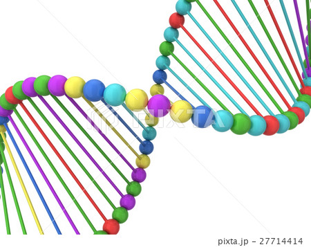 Dna spiral Dna spiral 27714414