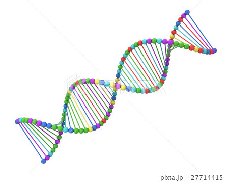 Dna spiral Dna spiral 27714415