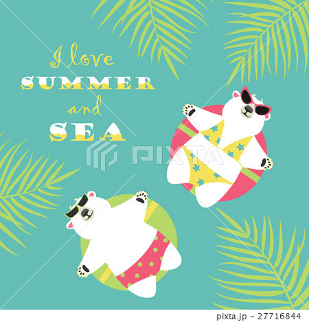 Cute polar bears swimming with rubber ring  27716844