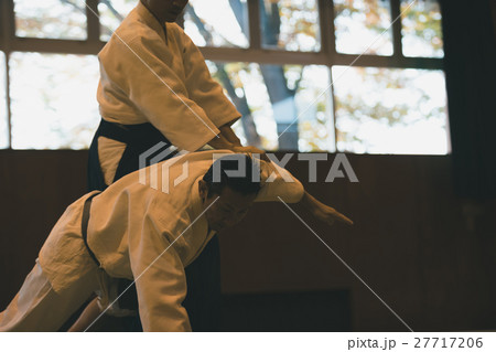 martial artist martial artist 27717206