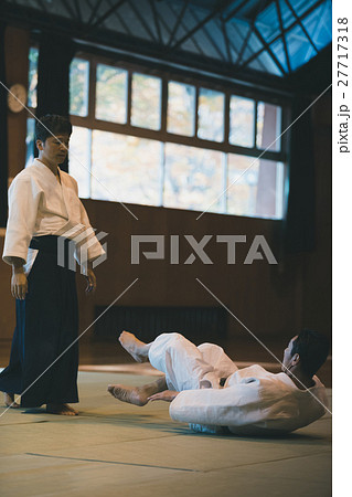 martial artist martial artist 27717318