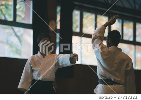 martial artist 27717323