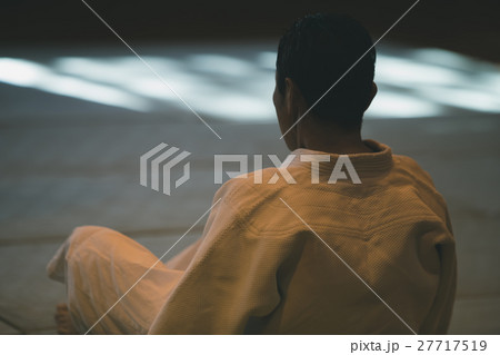 martial artist martial artist 27717519