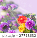 beautiful dahlias, collage 27718632