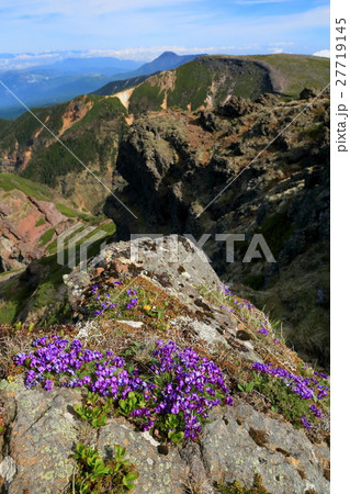 八ヶ岳連峰・横岳稜線から見る硫黄岳方面 27719145