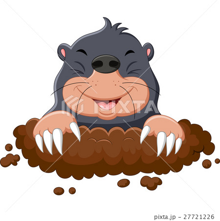 Cartoon cute mole 27721226