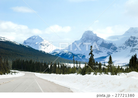 冬のカナディアン・ロッキー ボウ湖に下る道 冬のカナディアン・ロッキー ボウ湖に下る道 27721380