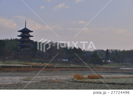【岡山】備中国分寺の夜明け 27724496