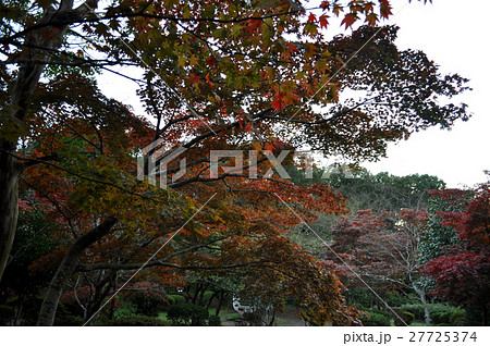 鎌倉源氏山公園の写真 27725374