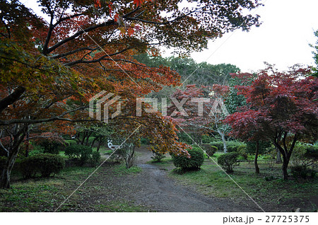鎌倉源氏山公園の写真 27725375