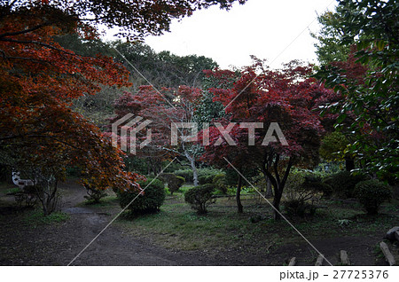 鎌倉源氏山公園の写真 27725376