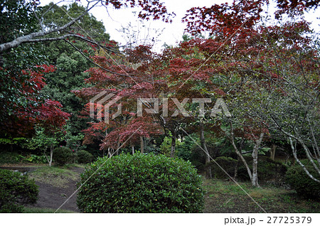 鎌倉源氏山公園の写真 鎌倉源氏山公園の写真 27725379