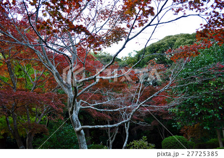 鎌倉源氏山公園の写真 27725385