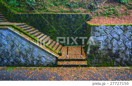 Autumn scenery in Kyoto, Japan 27727150