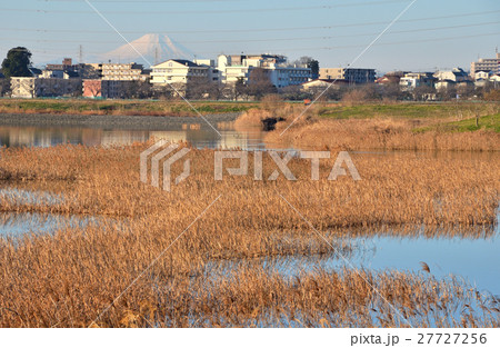 見沼田圃：芝川第一調節池 27727256