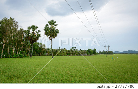 Landscape of countryside in Mekong Delta, Vietnam Landscape of countryside in Mekong Delta, Vietnam 27727780