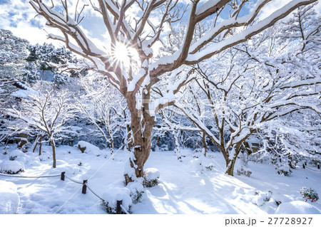冬のの圓光寺 冬のの圓光寺 27728927