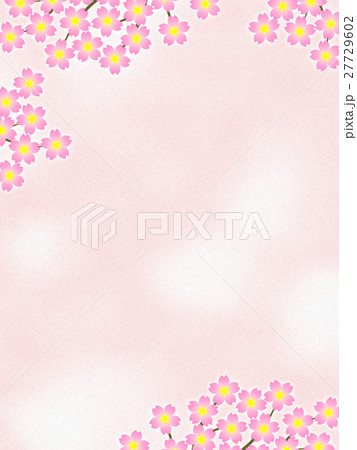 桜の花 桜の花 27729602