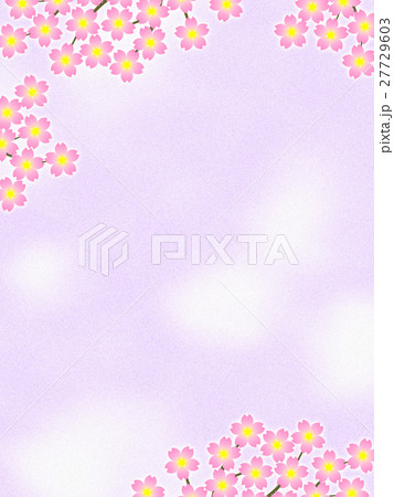 桜の花 27729603
