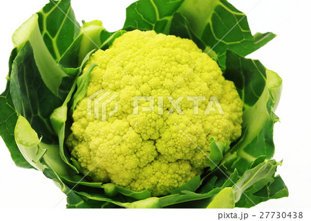 カリフラワー 27730438