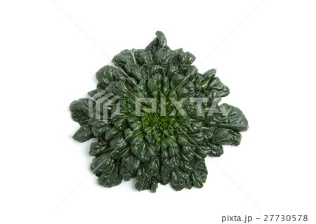 ターサイ 27730578