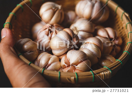 Garlics 27731021