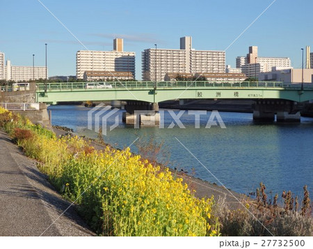 しながわ花海道の菜の花と鮫洲橋 しながわ花海道の菜の花と鮫洲橋 27732500