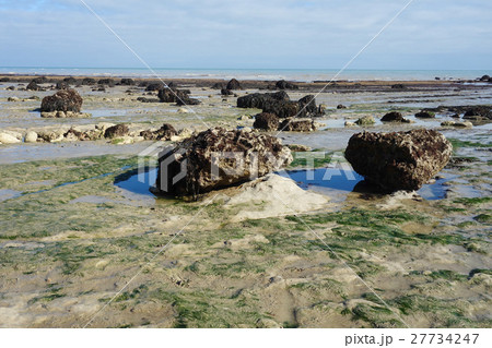 Low tide, Seven Sisters National park, East Sussex 27734247