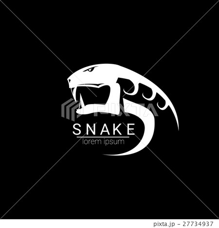 vector snake simple logo design element. vector snake simple logo design element. 27734937