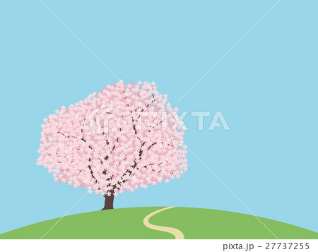 1本桜 27737255