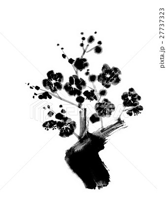 水墨画　梅 27737323