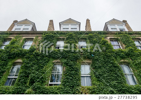 Green facade, vertical garden in architecture 27738295