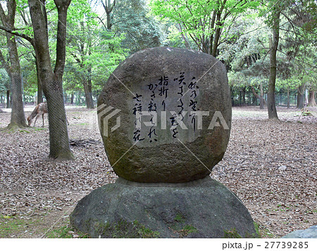 春日大社・歌碑 27739285