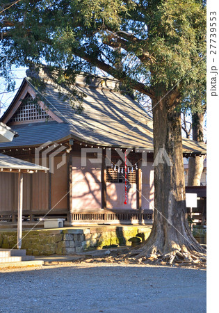 見沼田圃:稲荷社 緑区下山口新田 見沼田圃:稲荷社 緑区下山口新田 27739553