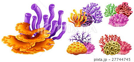 Different Kinds Of Coral Reefのイラスト素材